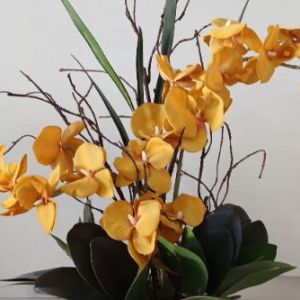 Arranjo orquídeas permanentes