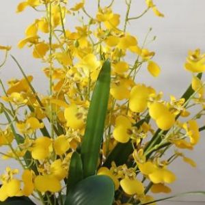 Arranjo orquídeas permanentes